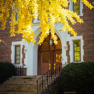 yellow leaves hang down from above in front of wooden portal door