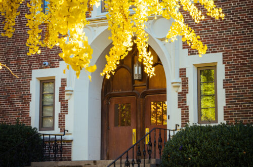yellow leaves hang down from above in front of wooden portal door