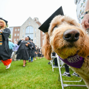 A dog wearing a grad cap and an Agnes Scott bandana posing next to the line of soon to be graduates.