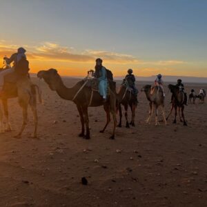 A group of students ride camels in the Moroccan desert as the sun sets.