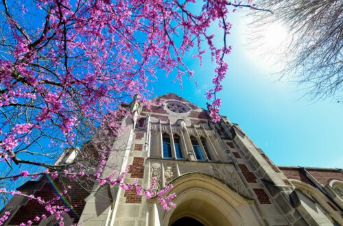 An underneath view of a gothic building entrance. A bright blue sky with sunlight. Pinkish cherry blossoms slight obscure view of the building